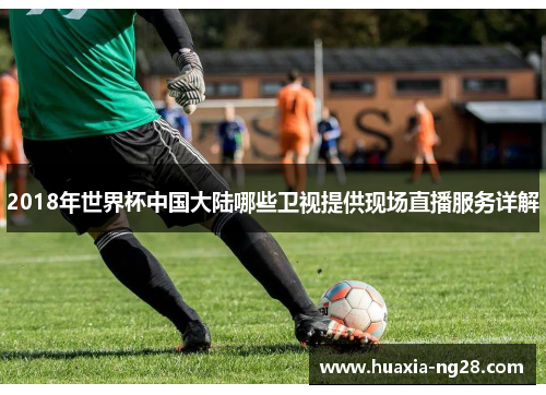 2018年世界杯中国大陆哪些卫视提供现场直播服务详解