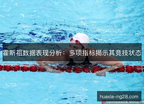 霍斯祖数据表现分析：多项指标揭示其竞技状态